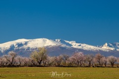 Desierto de Gorafe