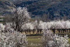 Desierto de Gorafe
