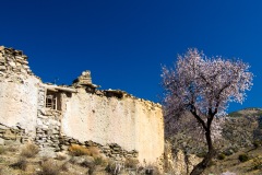 Desierto de Gorafe