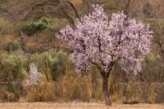 Desierto de Gorafe