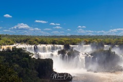 MG_1878