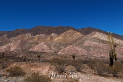 MG_2219