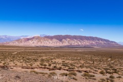 MG_2228