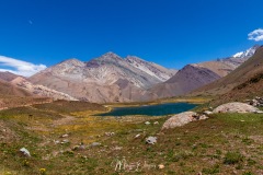 MG_2580