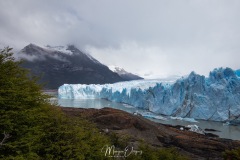 MG_2659
