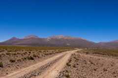 Lipez