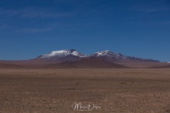 Lipez