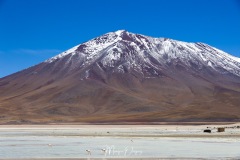 Lipez - Laguna blanca