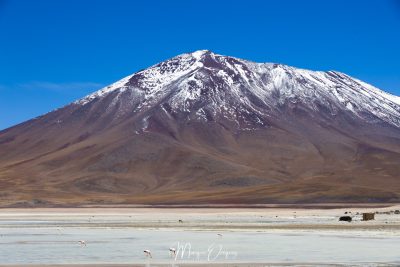 Laguna blanca