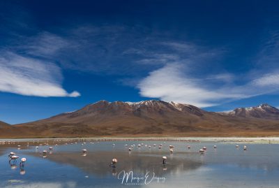 Laguna Hedionda
