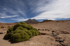 Lipez - Volcan Ollagüe