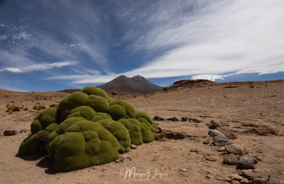 Volcan Ollagüe