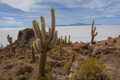 Isla Incahuasi