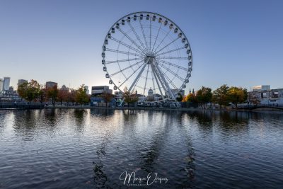La grande Roue