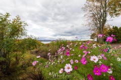 Kamouraska