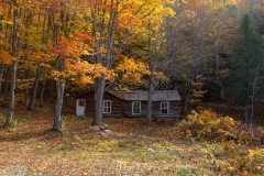 la cabane dans la forêt