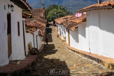 Guane