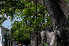 Mompox