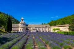 Abbaye de Sénanque