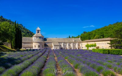 Abbaye de Sénanque