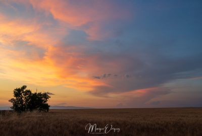 Coucher de soleil su Valensole