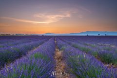 Valensole