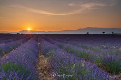 Valensole