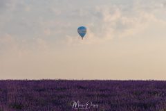Valensole