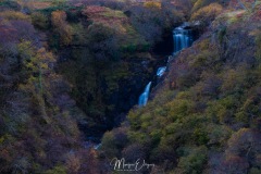 MG_4526