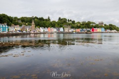 MG_6826