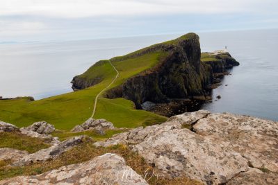 Nest Point