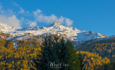 La neige à l'horizon