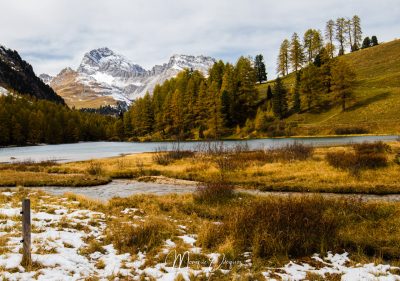 Lac de Palpuogna