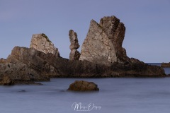 MG_1126