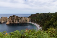 MG_1136