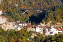 MG_5344