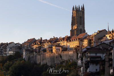 La cathédrale