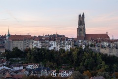 MG_5439