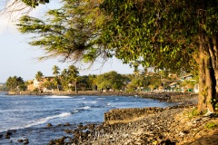 Old Lahaina Lu'au