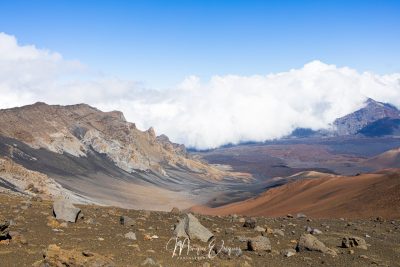 Volcan Haleakala