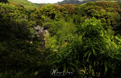 Maui