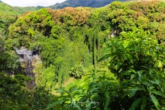 Maui