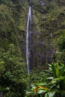 Waimoku Falls