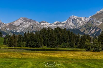 Toggenburg