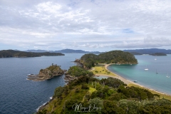 Robertson Island - Paihia