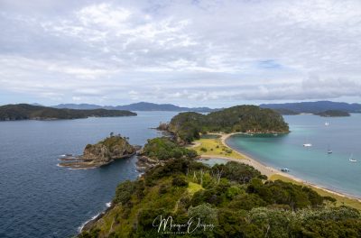 Robertson Island - Paihia