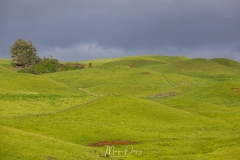 Carmel Farmstay