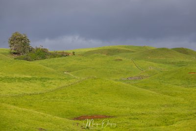 Carmel Farmstay