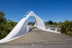 Te Rewa Rewa bridge