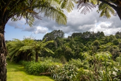 One Burgess New Plymouth
